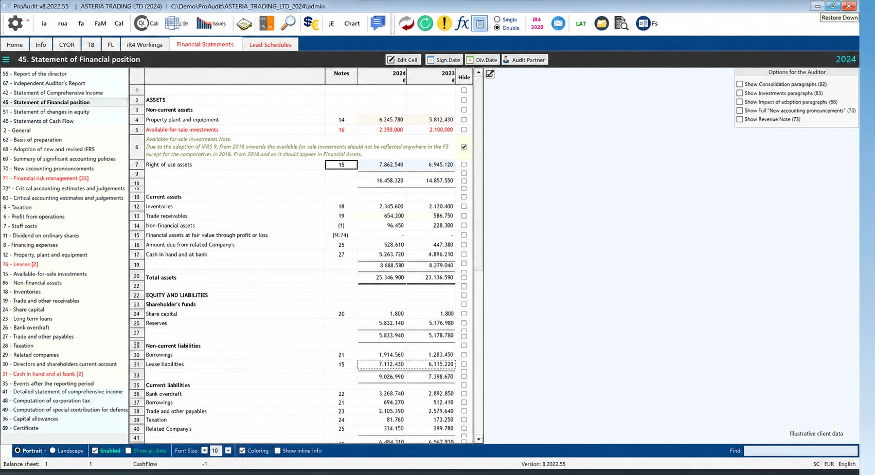 ProAudit financial statements preparation interface with fictional data